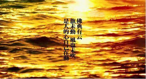 《东邪西毒》经典台词，每一句都戳心窝深入骨髓 图1