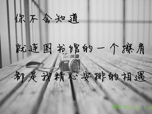 复旦大学三行情书大赛第一名作品，句子很短，爱你如诗 图5
