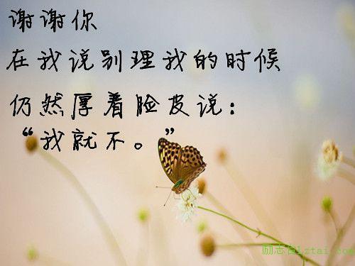 复旦大学三行情书大赛第一名作品，句子很短，爱你如诗 图7