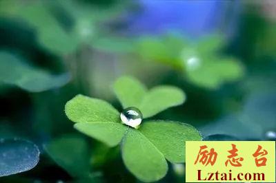 精辟到噎死人的句子,_太犀利了! 图1