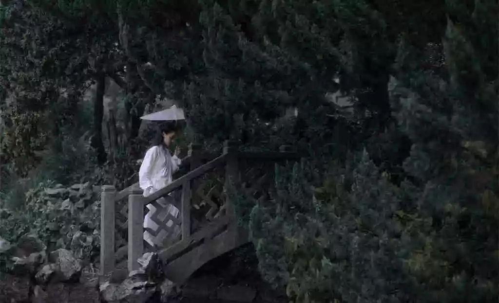 羊毛出在狗身上，由猪买单（精辟） 图1