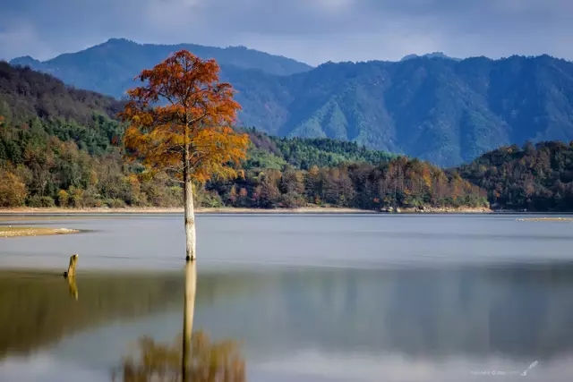 生容易，活容易，生活真的不容易！ 图1