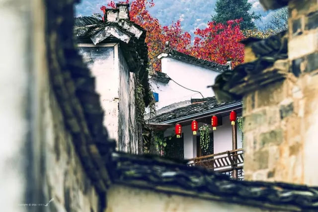 一生，何求（很短，却很经典） 图1