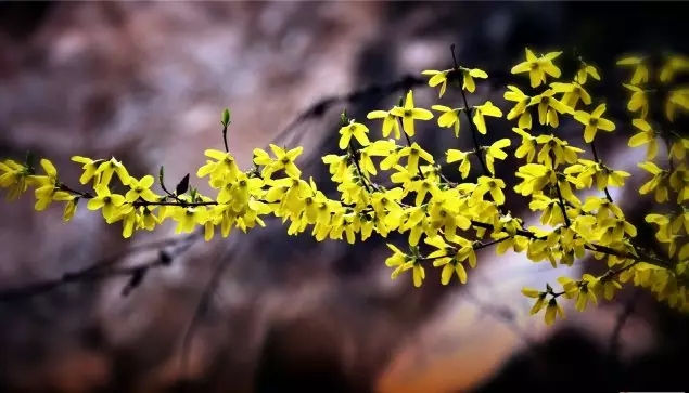 励志台每日经典语录推荐20190303 图1