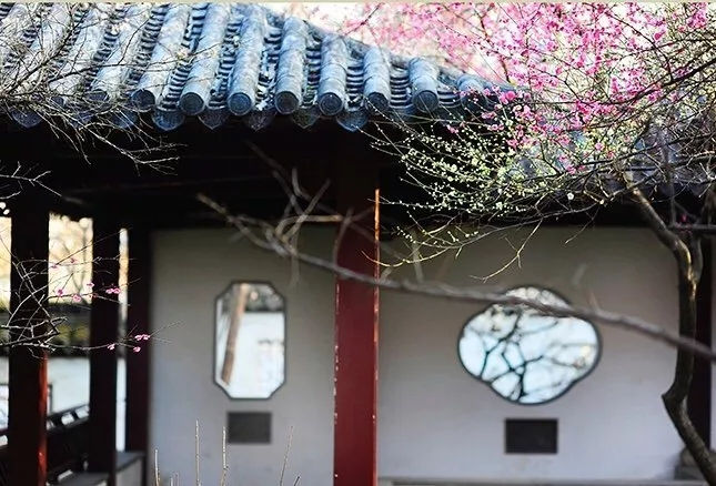 为美好而生，为幸福而活 图1