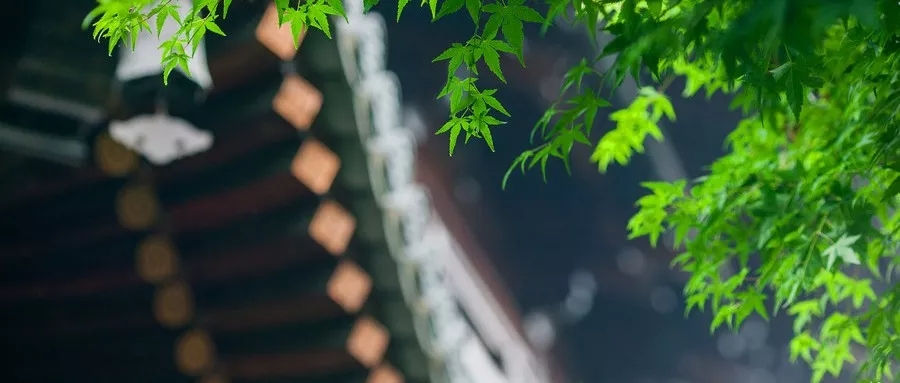 心有多宽，命有多好 图1
