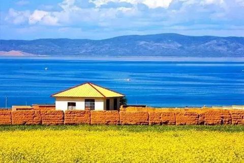 花开自美，评说由人 图1