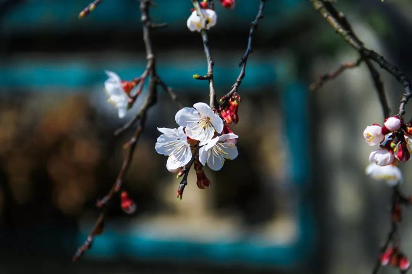 感激时间，让我看清 图1