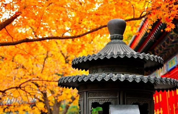 最伤人的不是吵架，而是…… 图1