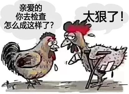 幽默：一毛不剩 图1