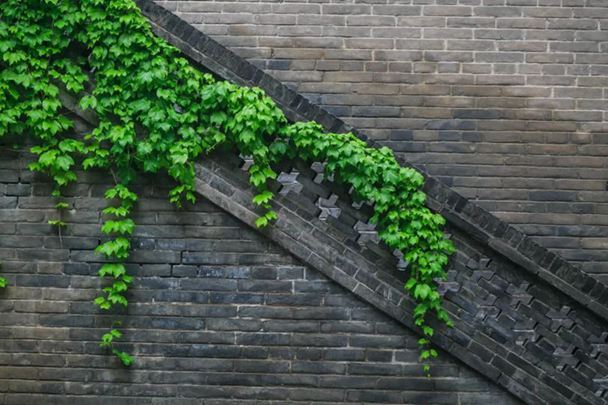 活着，请深爱自己 图1