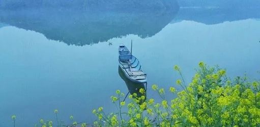清明节:逝者安息,生者珍惜! 图1