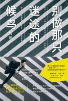 《别做那只迷途的候鸟》经典语录、经典名句语句精选 图1