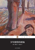 《少年维特之烦恼》经典语录、经典名句语句精选 图1