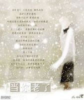 《当你老了》经典语录、经典名句语句精选 图1