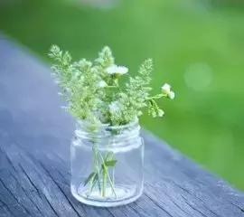 和土豆学做人，向稻草学价值！(精辟) 图1
