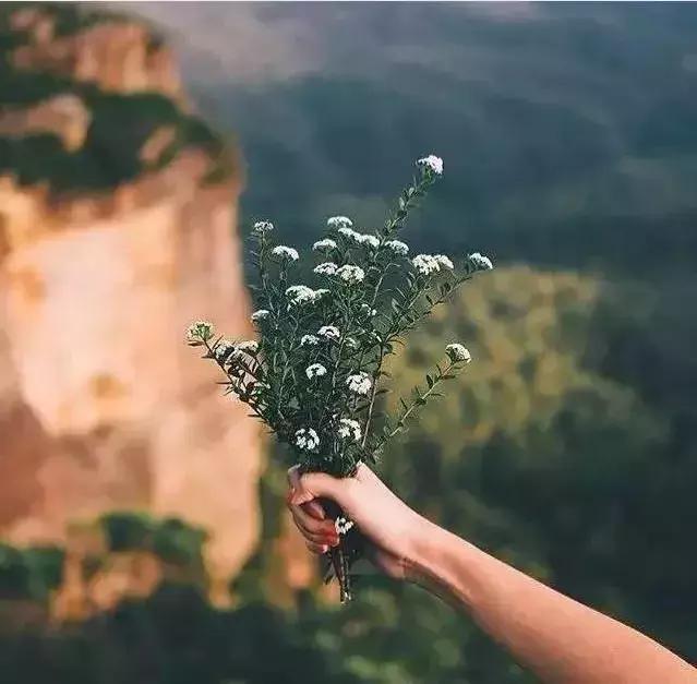 做人，请不要！(深度好文） 图1