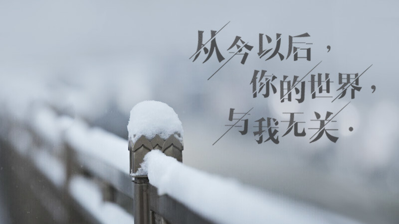相爱，就是要感恩对方的优点 图18