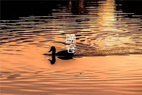 晚安心语正能量语录，一句顶一万句，带给你不一样的感受