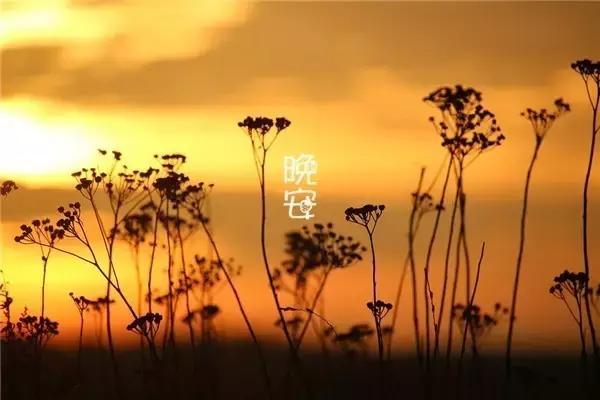 精辟的晚安心语正能量一句话，越努力，越幸运（句句触动人心） 图1