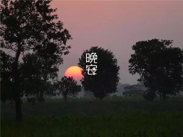精辟的晚安心语正能量一句话，越努力，越幸运（句句触动人心） 图6