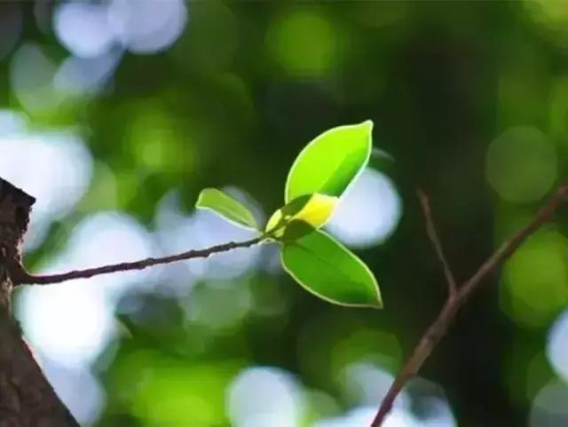 好扎心的句子签名，看得心疼 图1