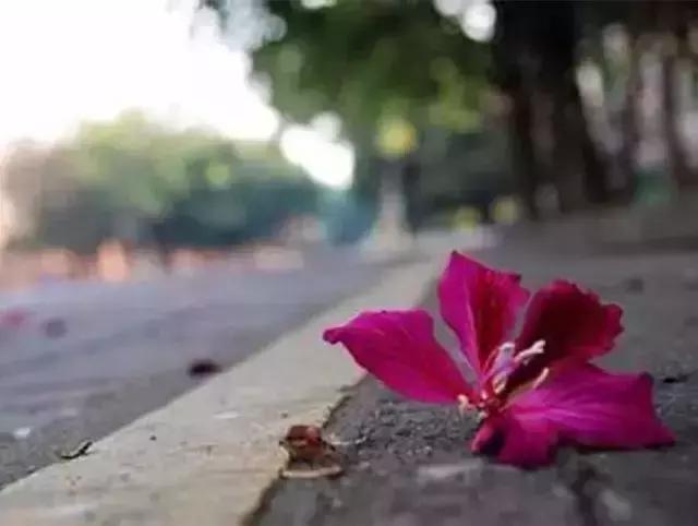 好扎心的句子签名，看得心疼 图3