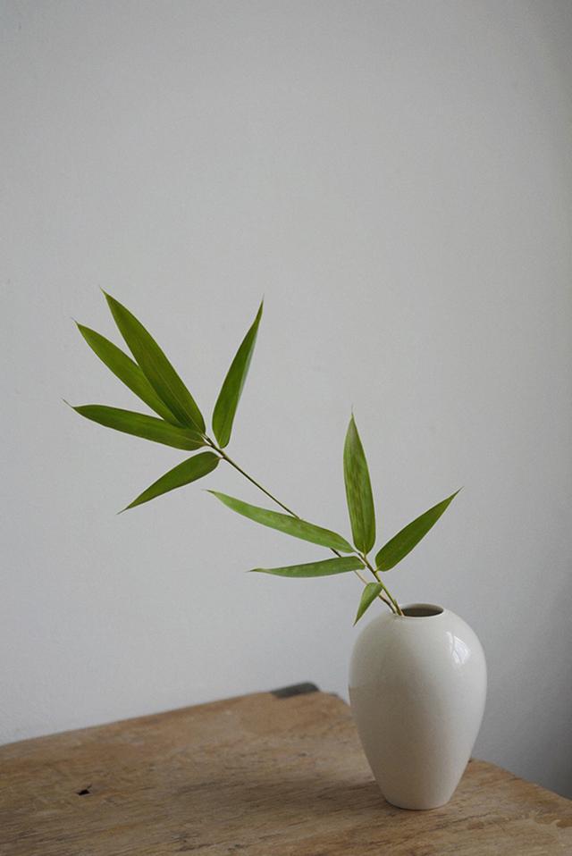 品茶感悟人生的经典句子，字字珠玑，读一遍受益终身！ 图6