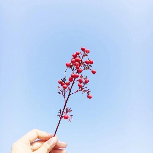 女生唯美古风个性签名，简短有意境，真是醉人醉心！ 图7