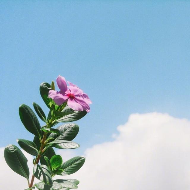 女生唯美古风个性签名，简短有意境，真是醉人醉心！ 图6
