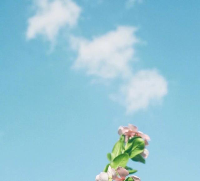 女生唯美古风个性签名，简短有意境，真是醉人醉心！ 图9