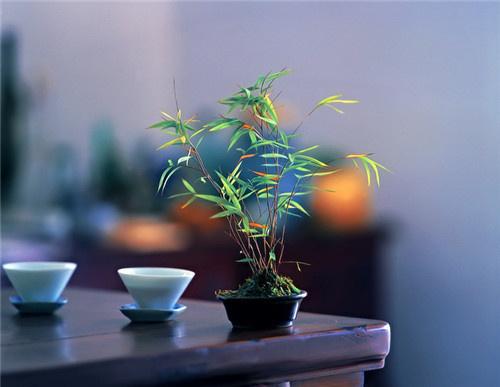对人生感悟的简短句子，让你学会释怀，活得更洒脱！ 图9