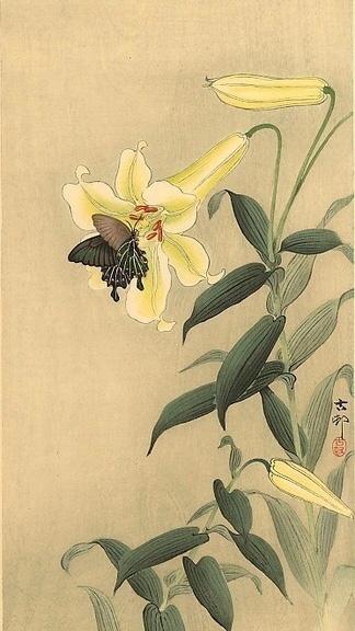 富含人生哲理的唯美句子，社会很残酷，你要活得有温度！ 图2