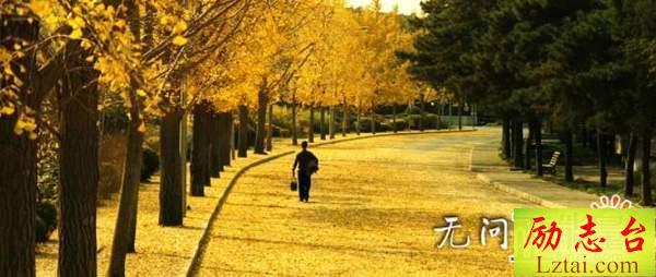 观无问西东有感1000字欣赏