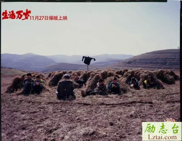 纪录片生活万岁观后感范文欣赏