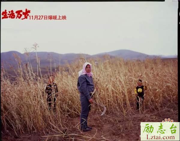 纪录片生活万岁观后感范文欣赏