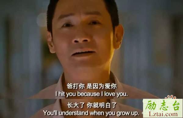 狗十三观后感影评400字精选