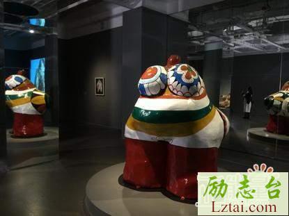 尼基圣法勒的花园奇境观后感范文欣赏