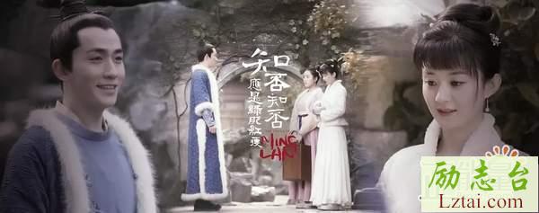 知否知否应是绿肥红瘦观后感1400字