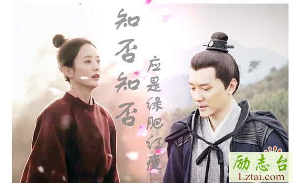 知否知否观后感范文1000字