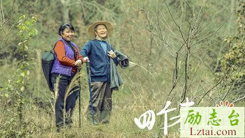四个春天观后感心得体会800字