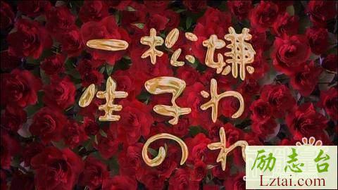 被嫌弃的松子的一生观后感700字范文
