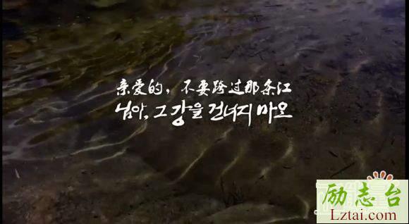 亲爱的，不要跨过那条江观后感影评1500字