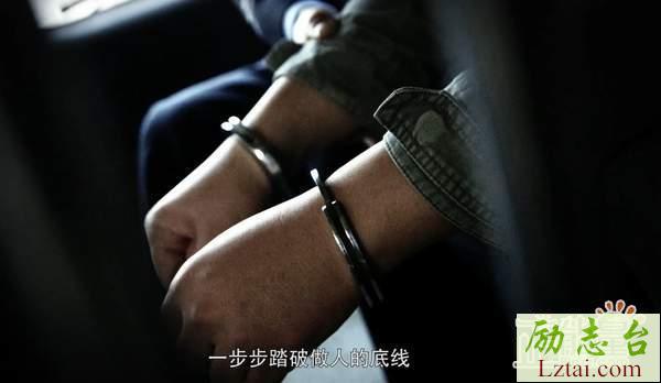 激浊扬清在云南观后感心得体会800字精选5篇