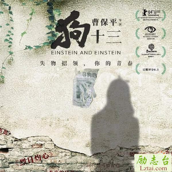 狗十三观后感心得体会1900字欣赏