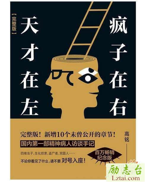 天才在左疯子在右读后感欣赏