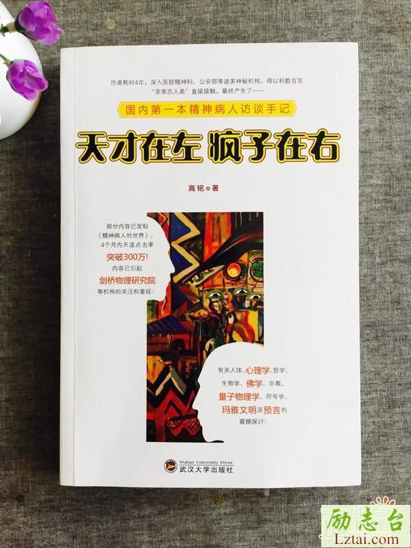 天才在左疯子在右读后感欣赏
