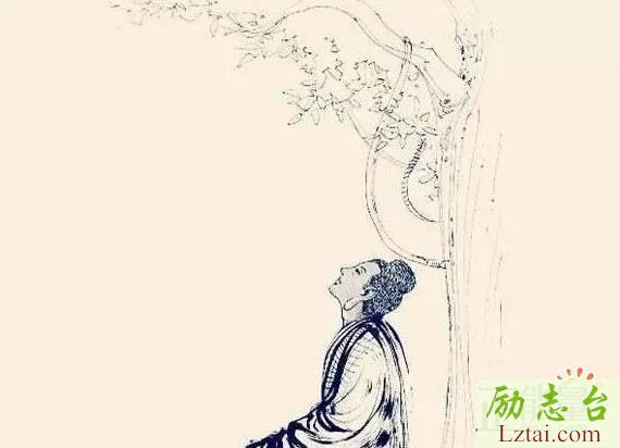 菩提本无树读后感600字欣赏