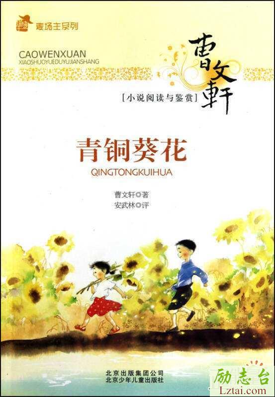 青铜葵花读后感作文精选15篇