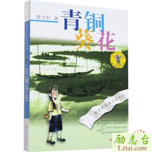 青铜葵花读后感作文精选15篇